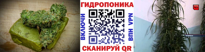 shop наркотические препараты Чебоксары Cannafood конопля