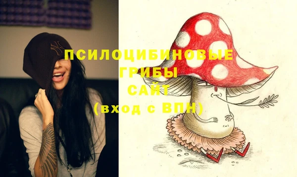 mdpv Вяземский