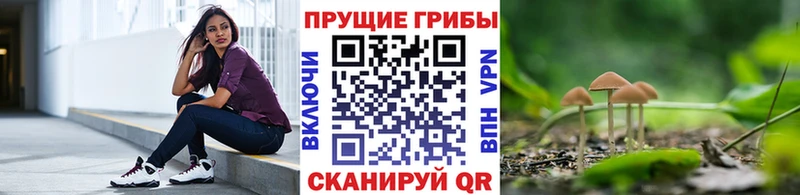 Псилоцибиновые грибы мухоморы  Чебоксары 