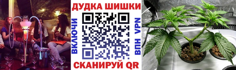 Конопля гибрид  что такое наркотик  Чебоксары 